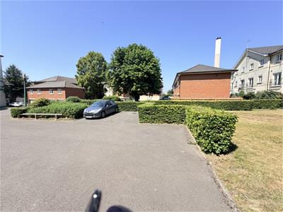 Picture 17